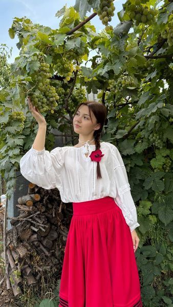 Традиційна спідниця "Малинова бубка" 02456 фото
